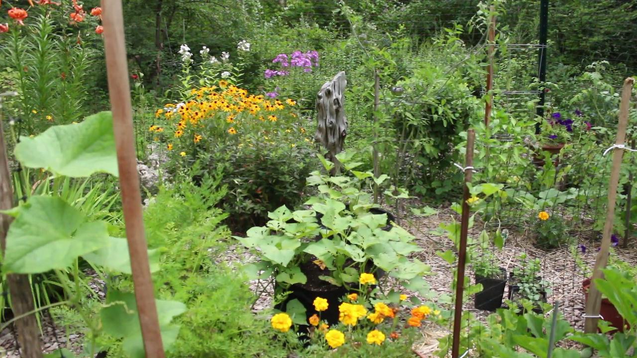 uac-gardens-1