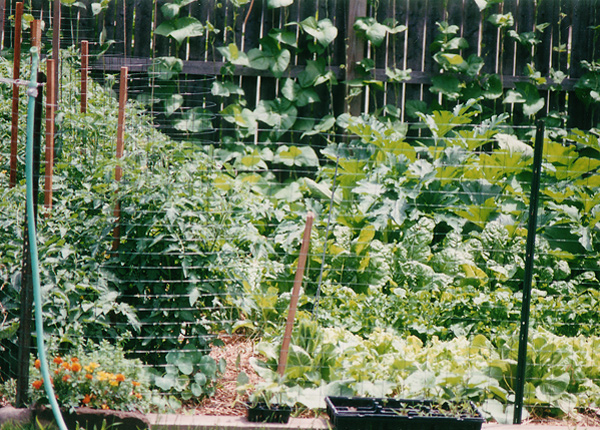 90's garden