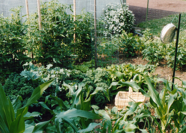 90's garden