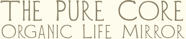 the pure core organic life mirror