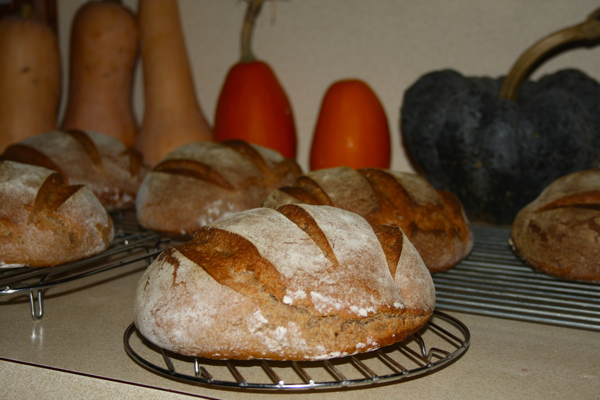 multigrain sourdough and funky local and home grown squash collection