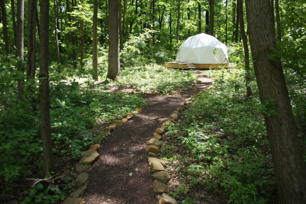 wooden geodesic frame