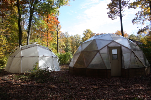 the pure core organic life mirror | geodesic domes