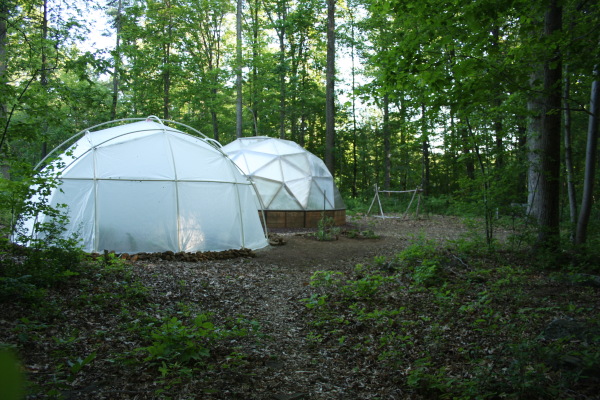 metal geodesic frame