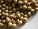 soybeans