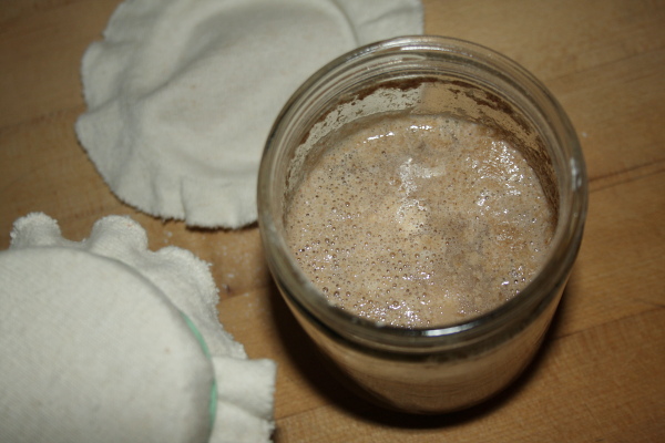 sourdough starter