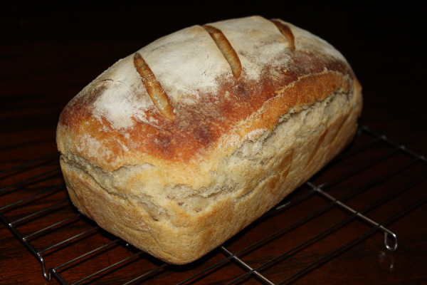 fresh baked sourdough sanwich loaf